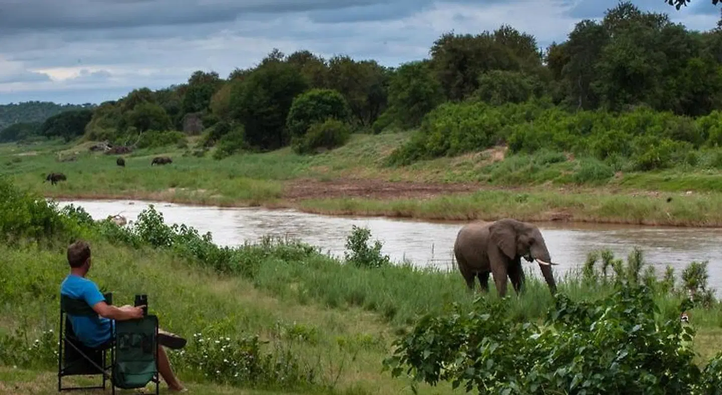 Maninghi Lodge Tiere