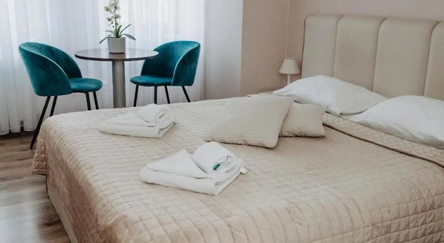 Verslo Klase Hotel Panevezys ROOM_EXAMPLE