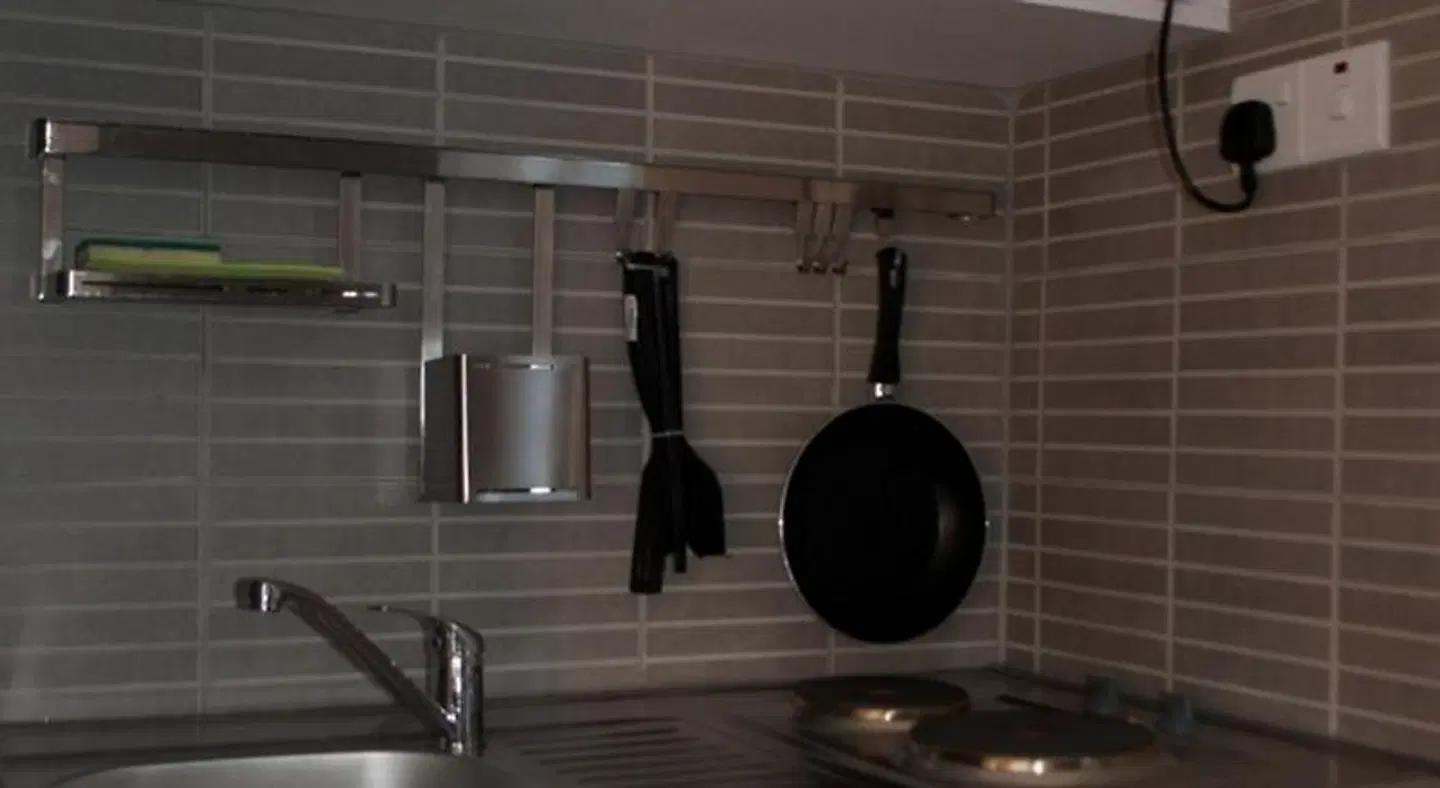 St. George Rent Rooms Tiere
