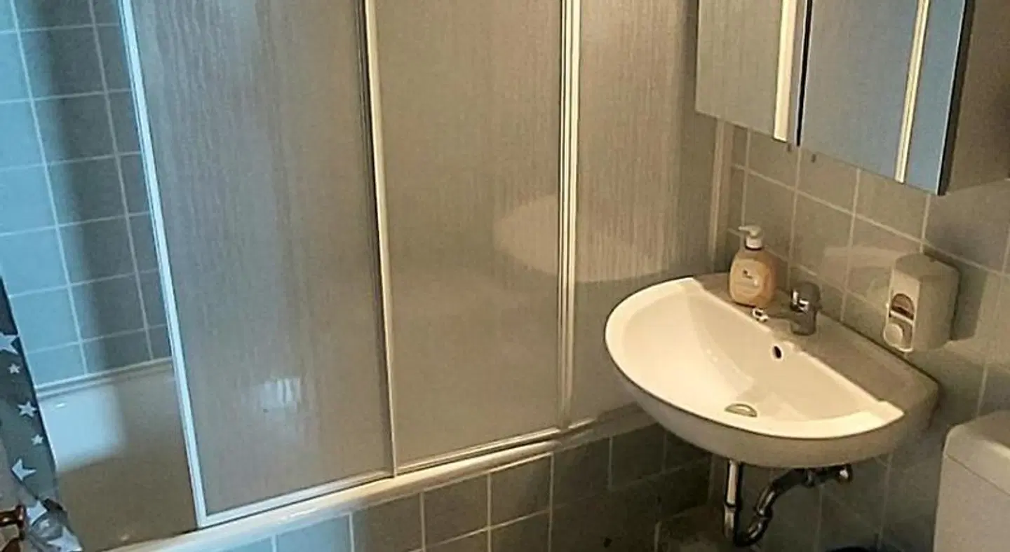 Ferienapartments Panoramic Oberharz Badezimmer