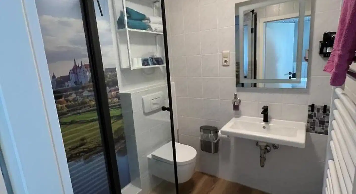 Triebischtal Badezimmer