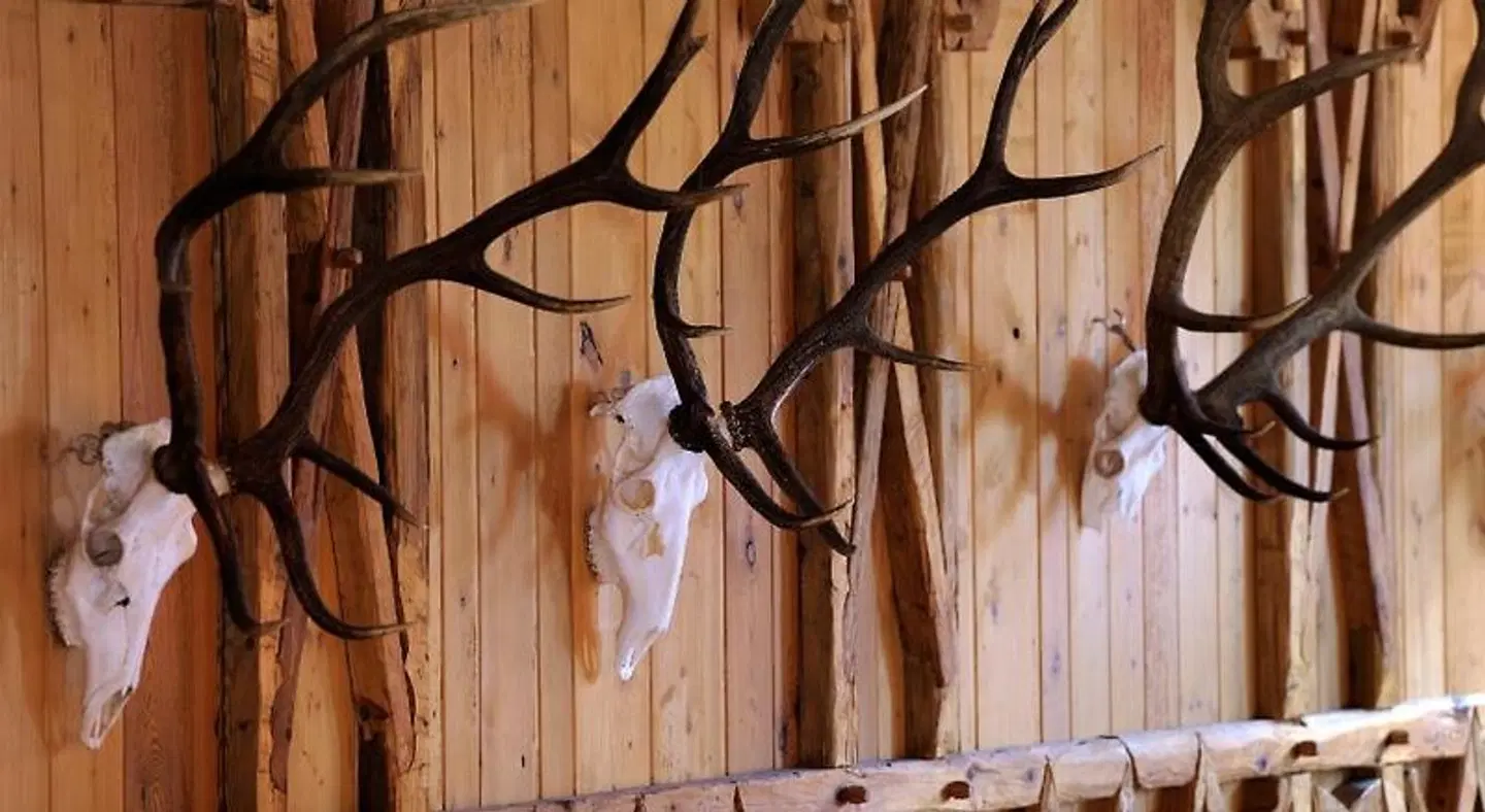 Landhotel Rössle Tiere