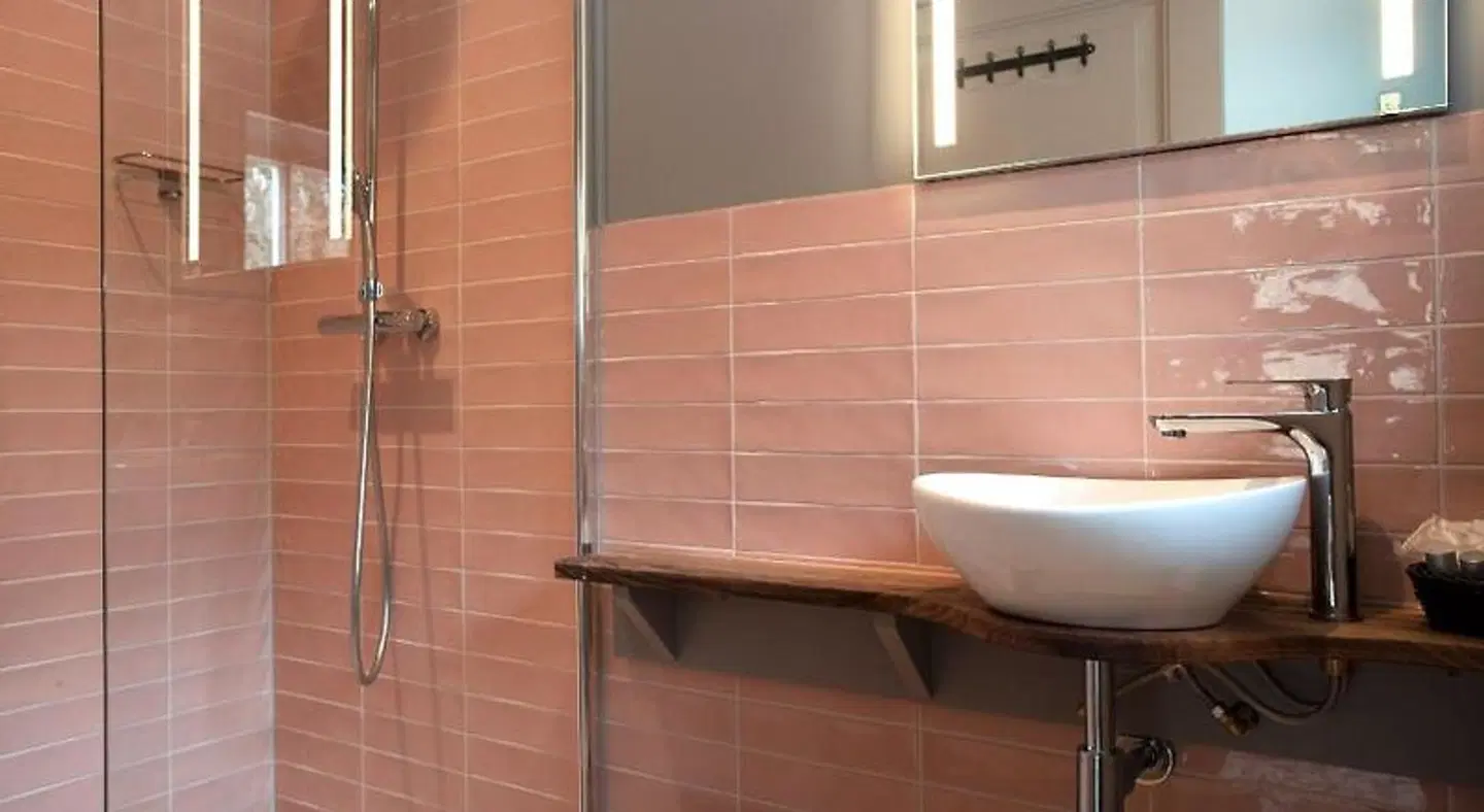B&B Adelaerthoeve Badezimmer