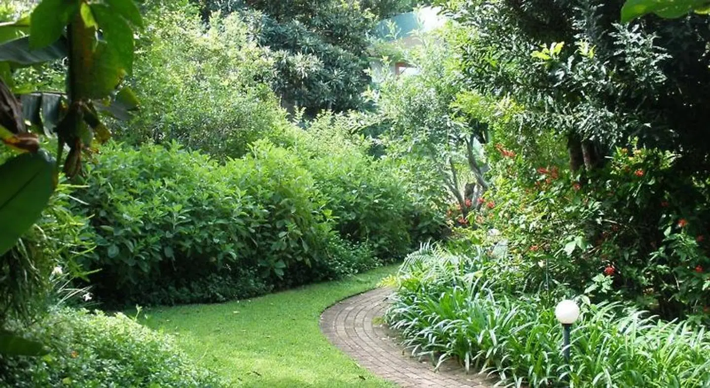 Jörn's Gästehaus Garten