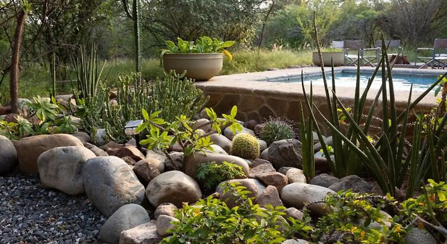 Zebra Lodge Garten
