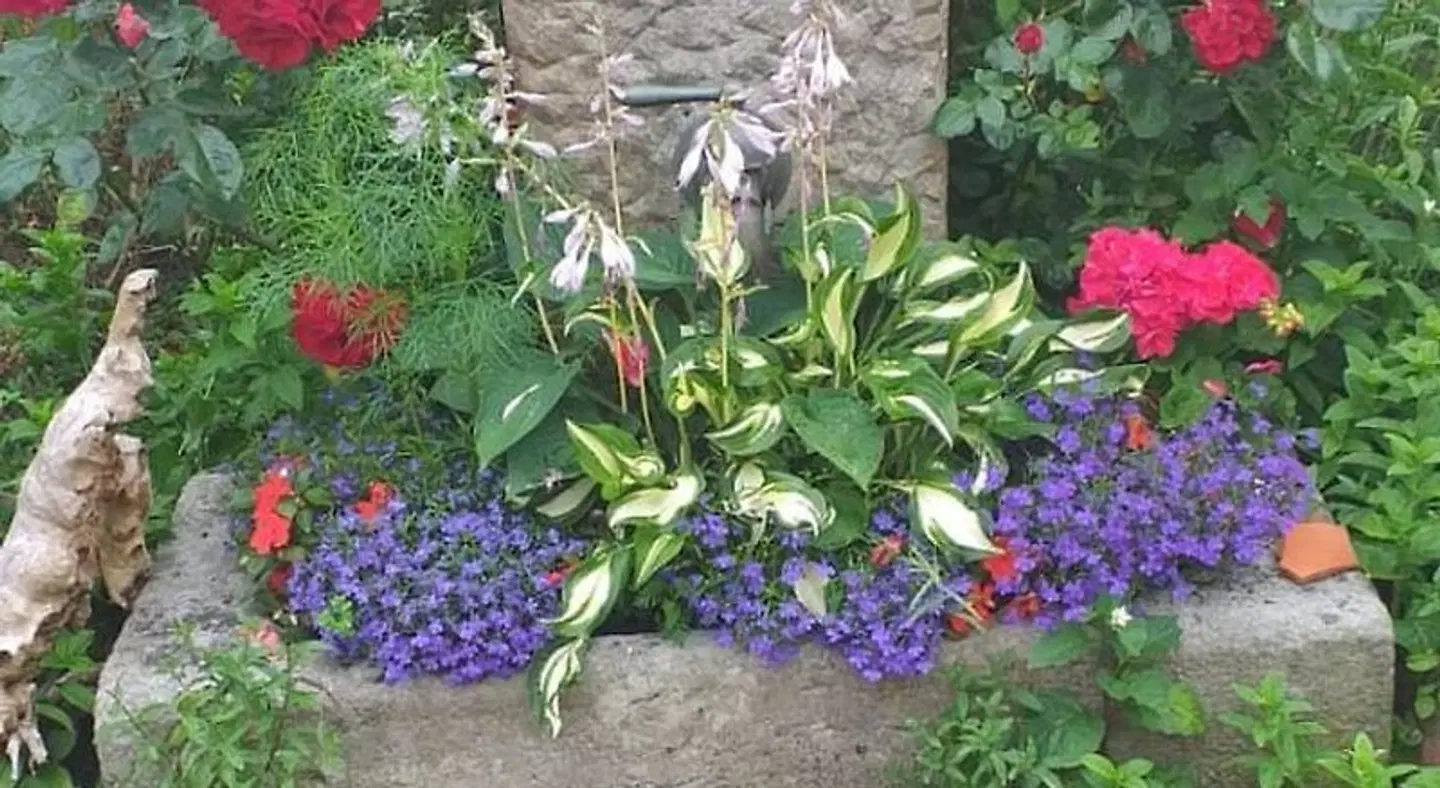 Neuses Garten
