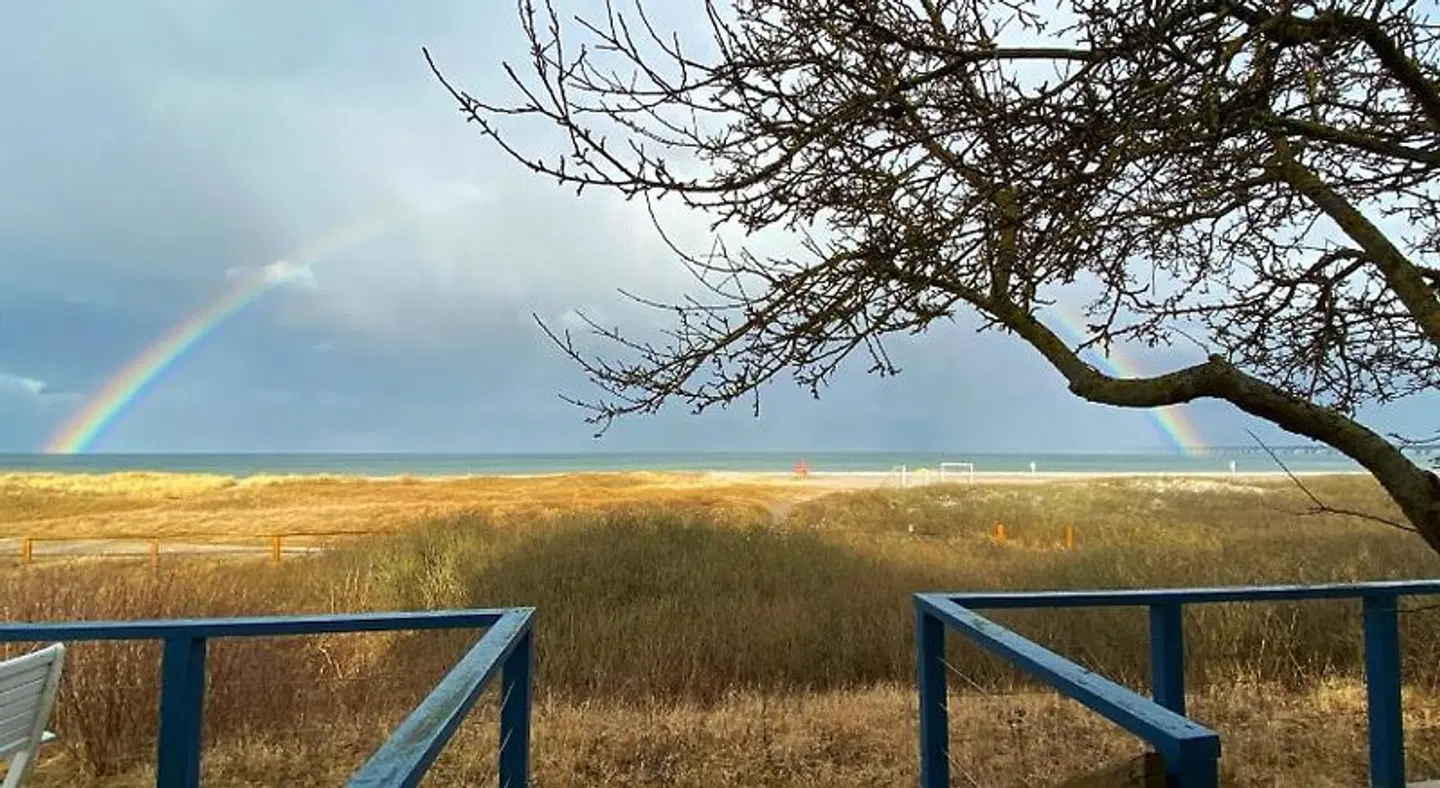 Skaerven Beachfront Condos and Cottage LANDSCAPE