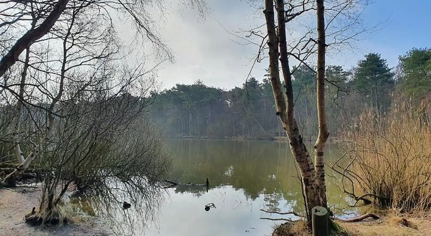 Appartementhaus-Kogge-Wohnung-7 LANDSCAPE