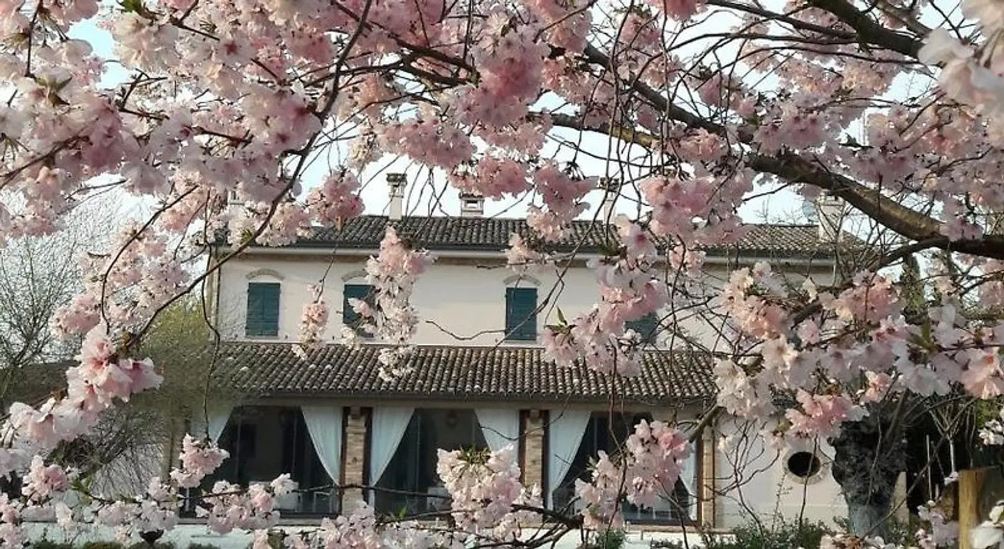 Antico Casale Cesenatico B&B Terrasse