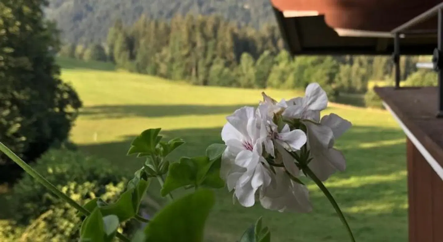 Hof Oberhaus LANDSCAPE
