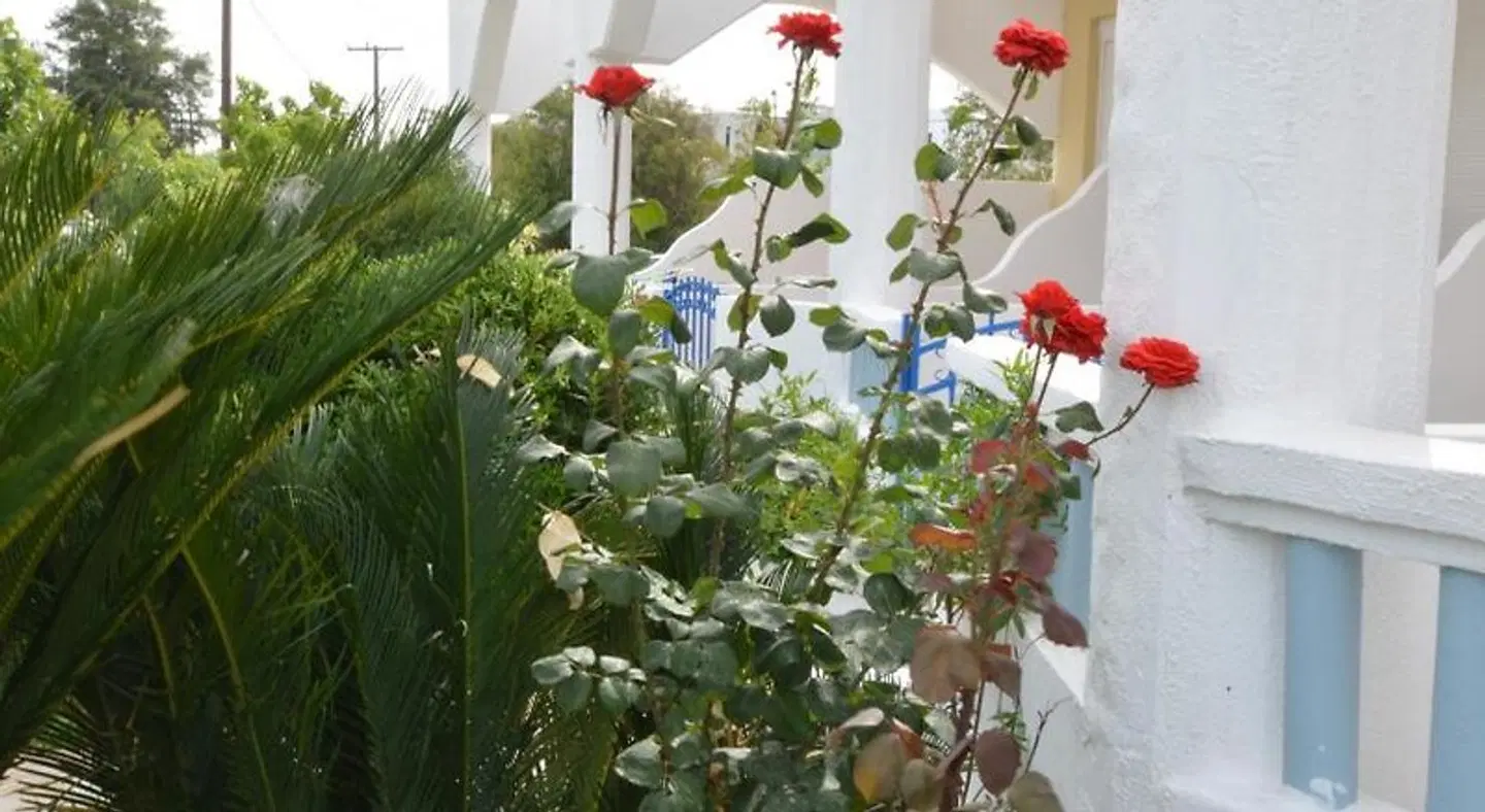 Kathara Bay Apartments Garten