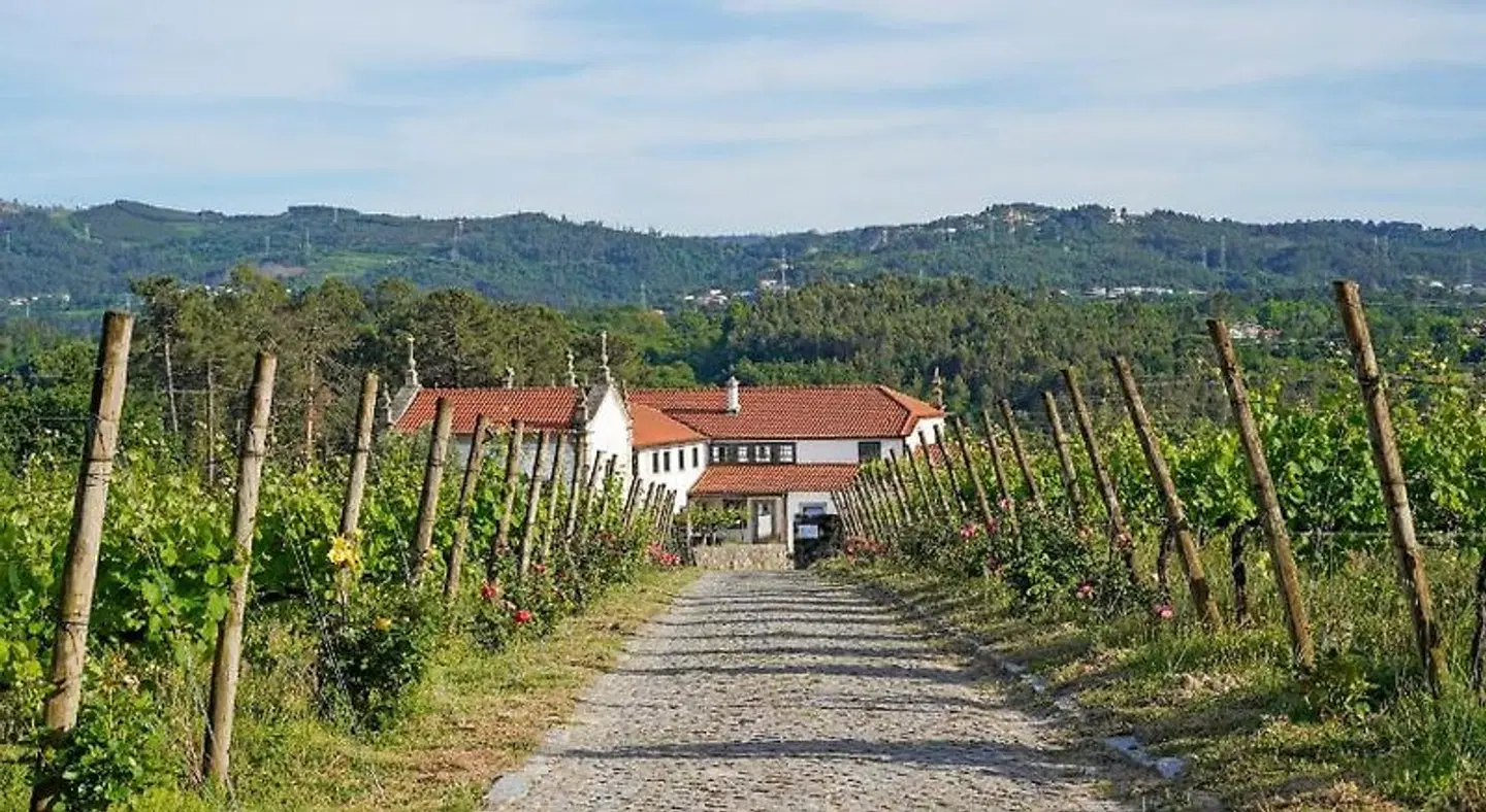 Solar das Bouças LANDSCAPE