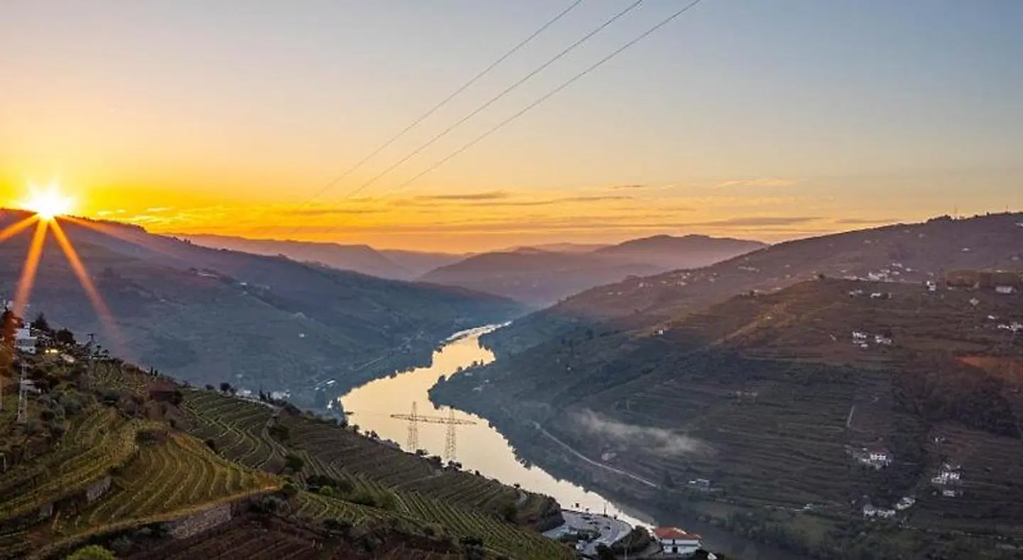 Casa Vale do Douro LANDSCAPE