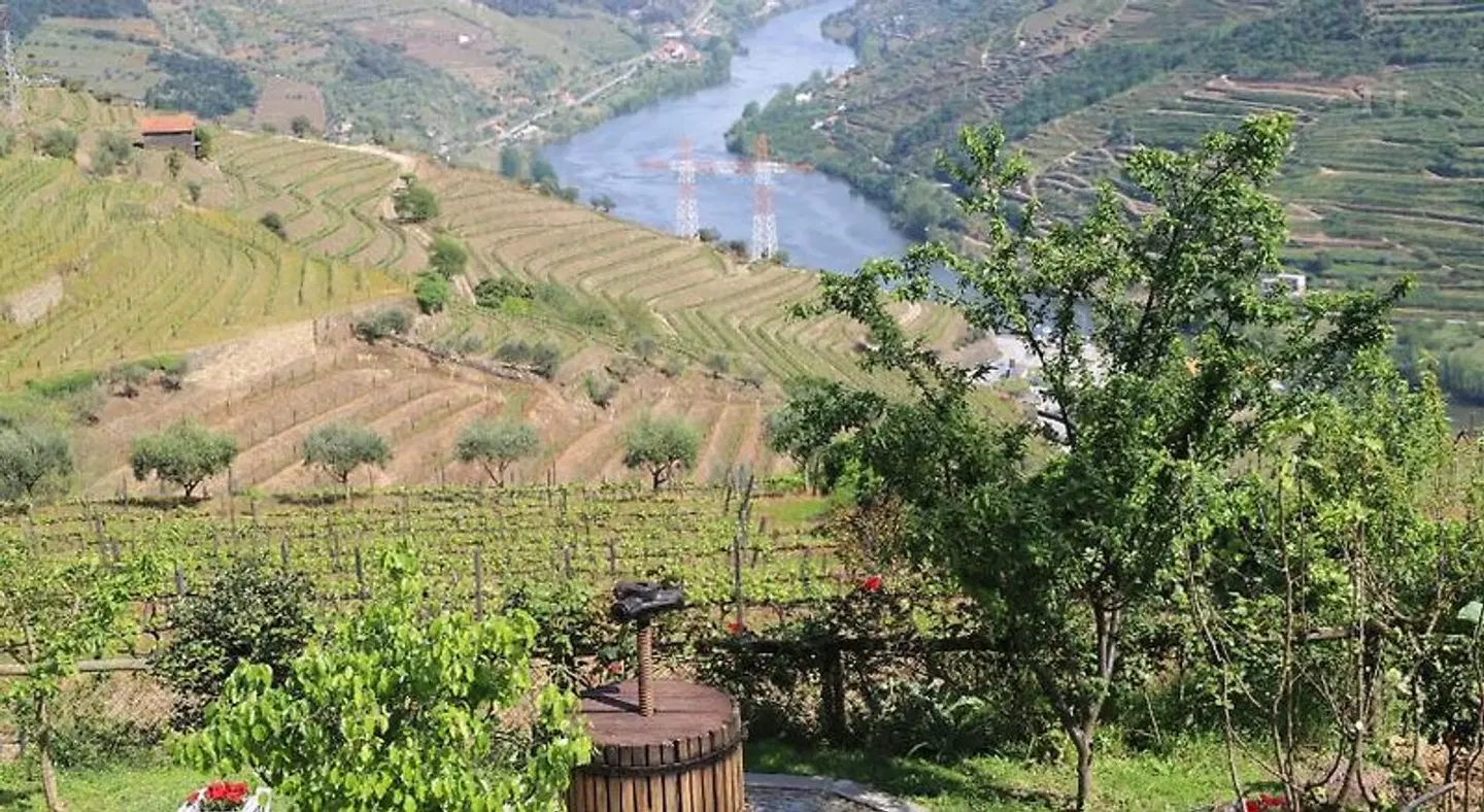 Casa Vale do Douro LANDSCAPE