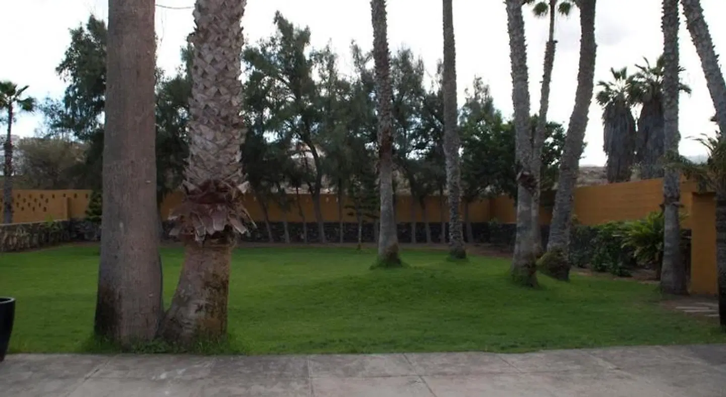 Finca Hoya del Pozo Garten