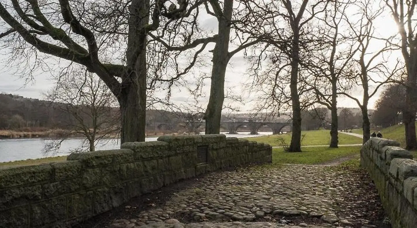 Marks @ the Manor LANDSCAPE