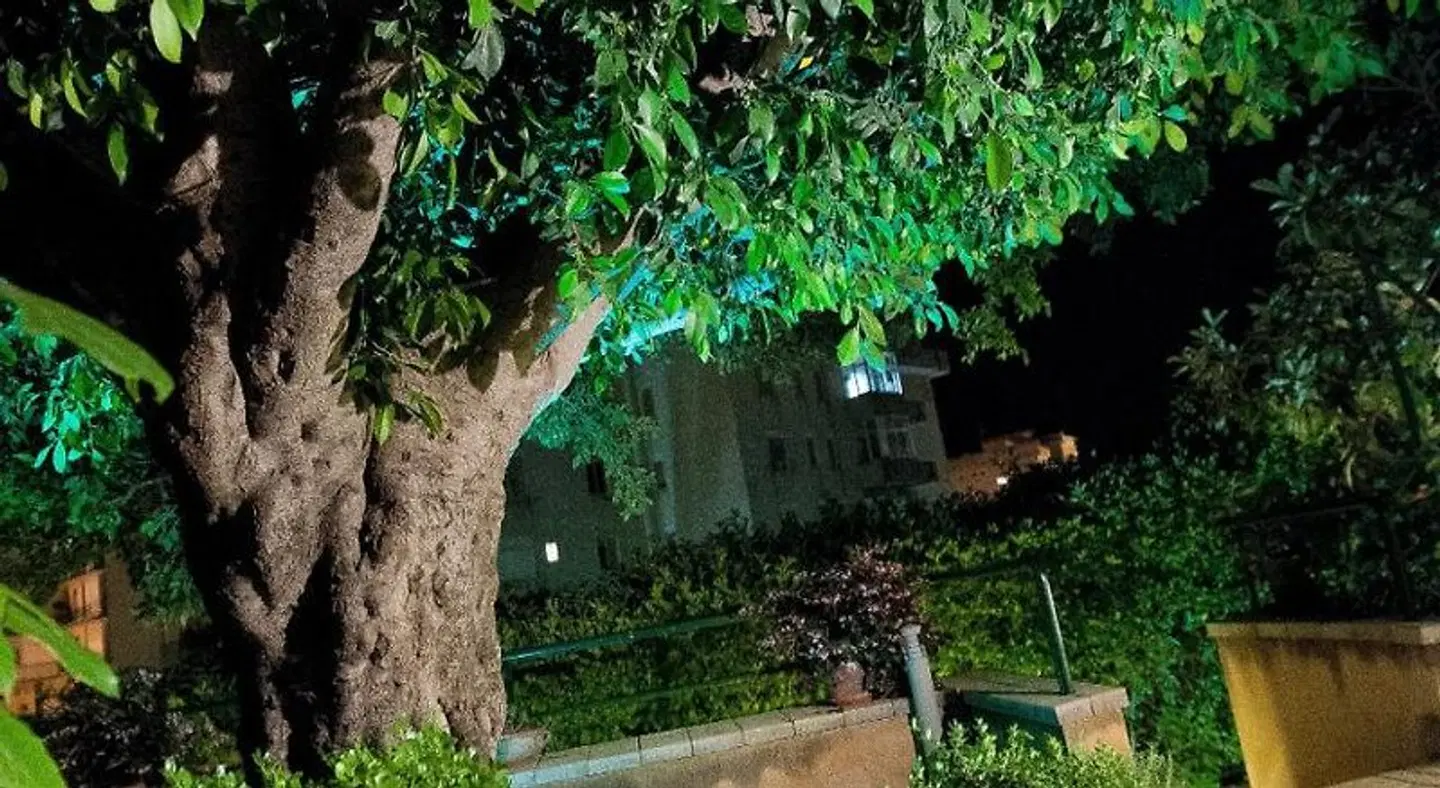 Casale La Zagara Garten