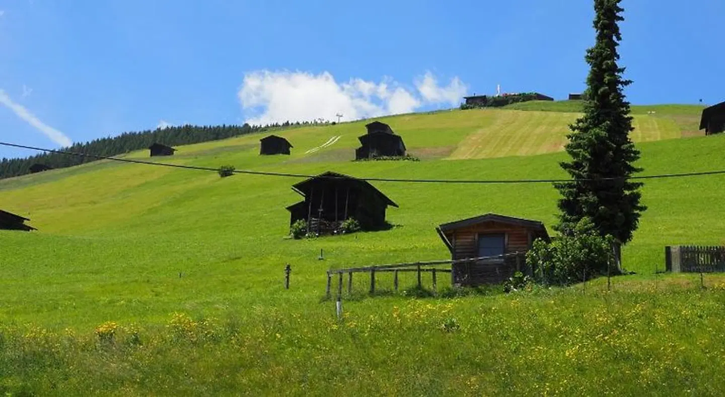 Alpengruß Garten