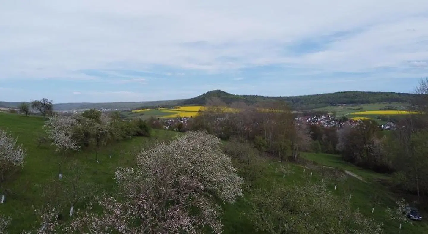 Villa Hof Langenborn LANDSCAPE