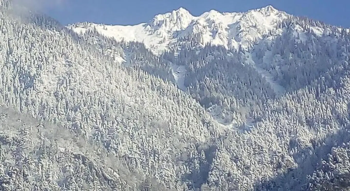 Landhaus Tirol LANDSCAPE