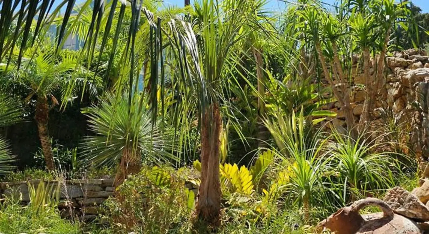 Niriides Hotel Apartments Garten