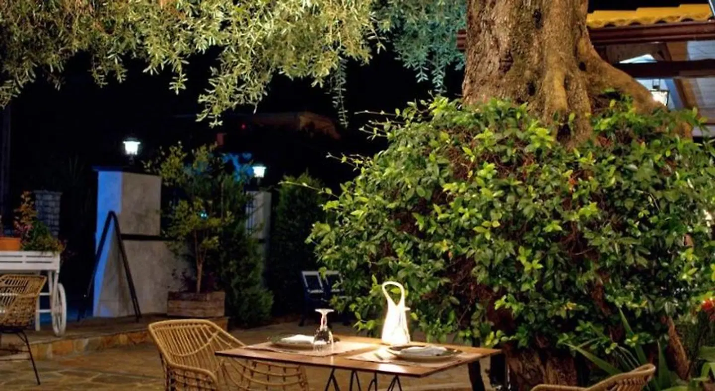 Alfa Hotel Terrasse