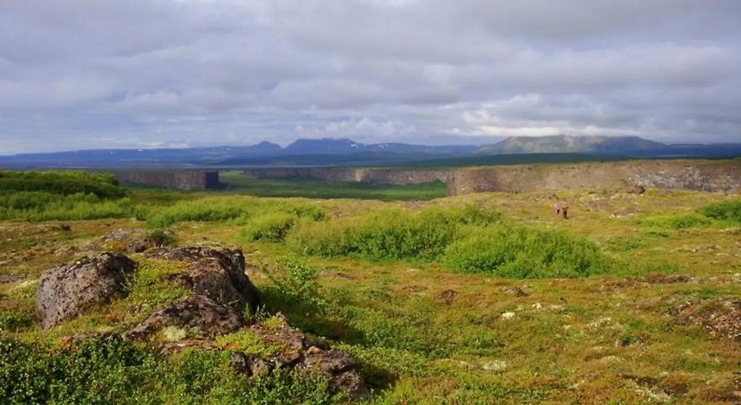 Nordic Natura LANDSCAPE