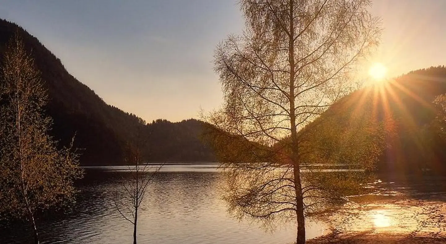 Pension Aloisia LANDSCAPE