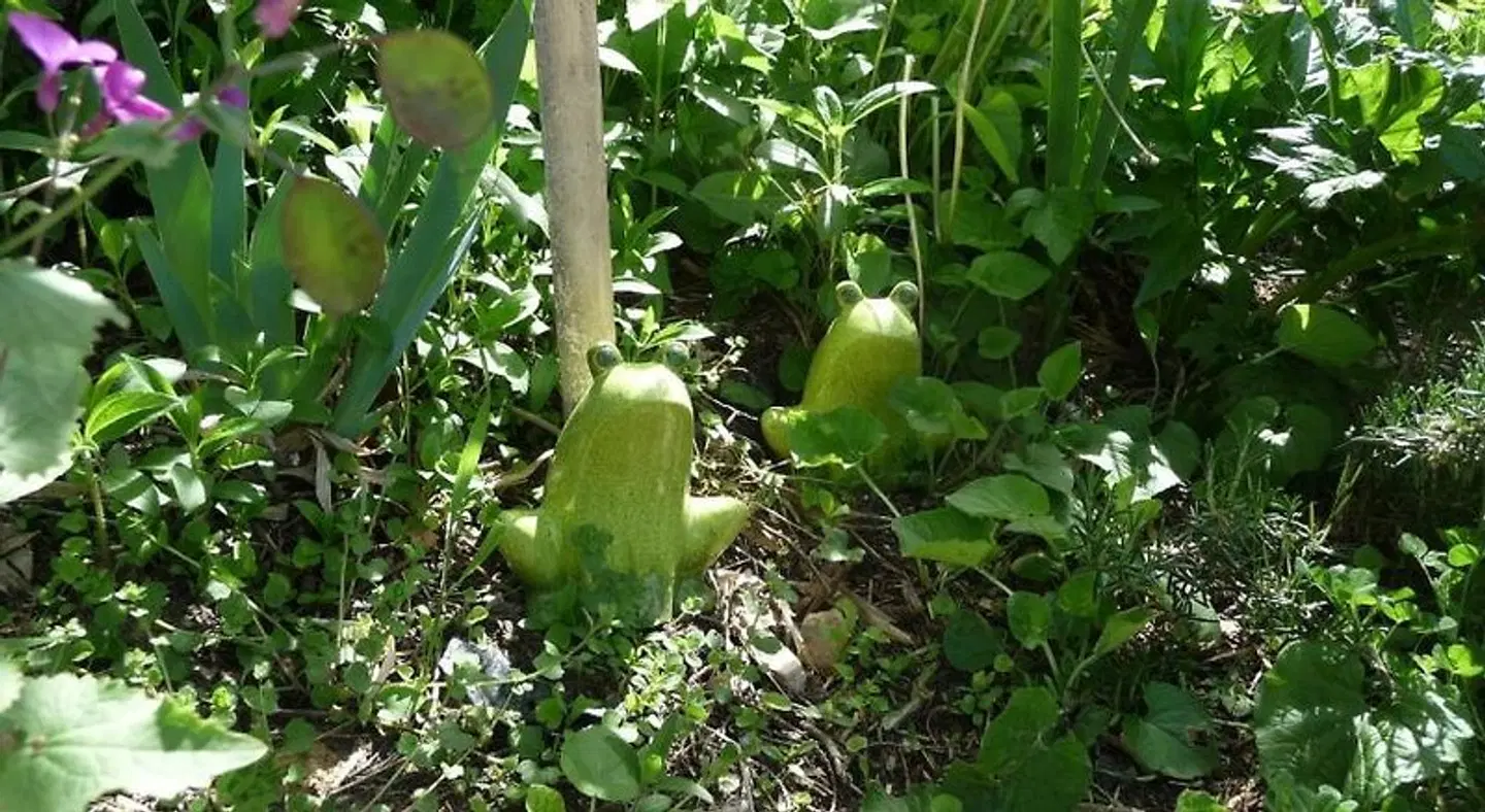Mas Escombelle Garten