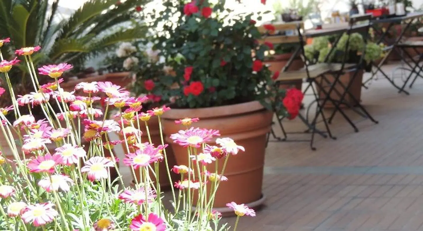 B&B il rosso e il nero LANDSCAPE