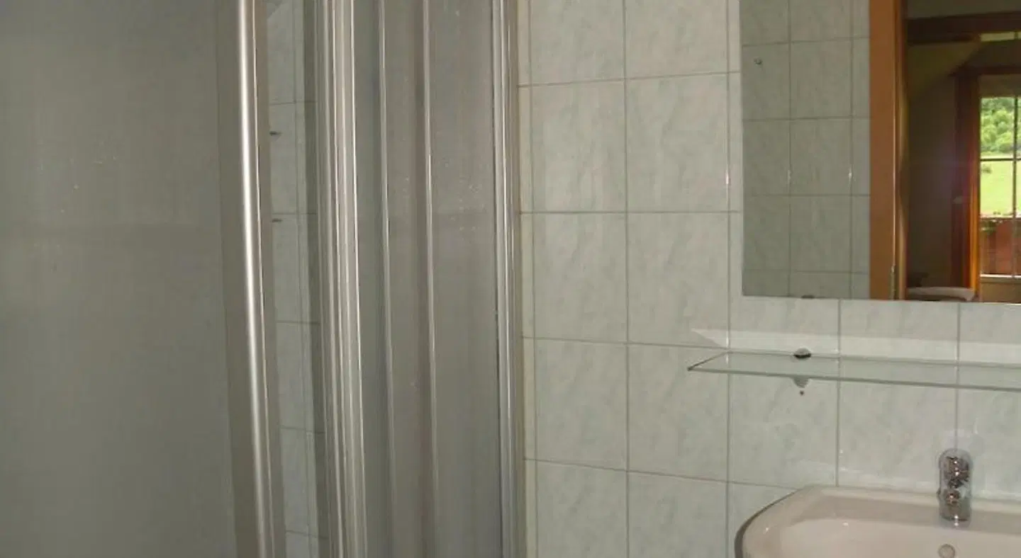 Stiegenwirt Badezimmer