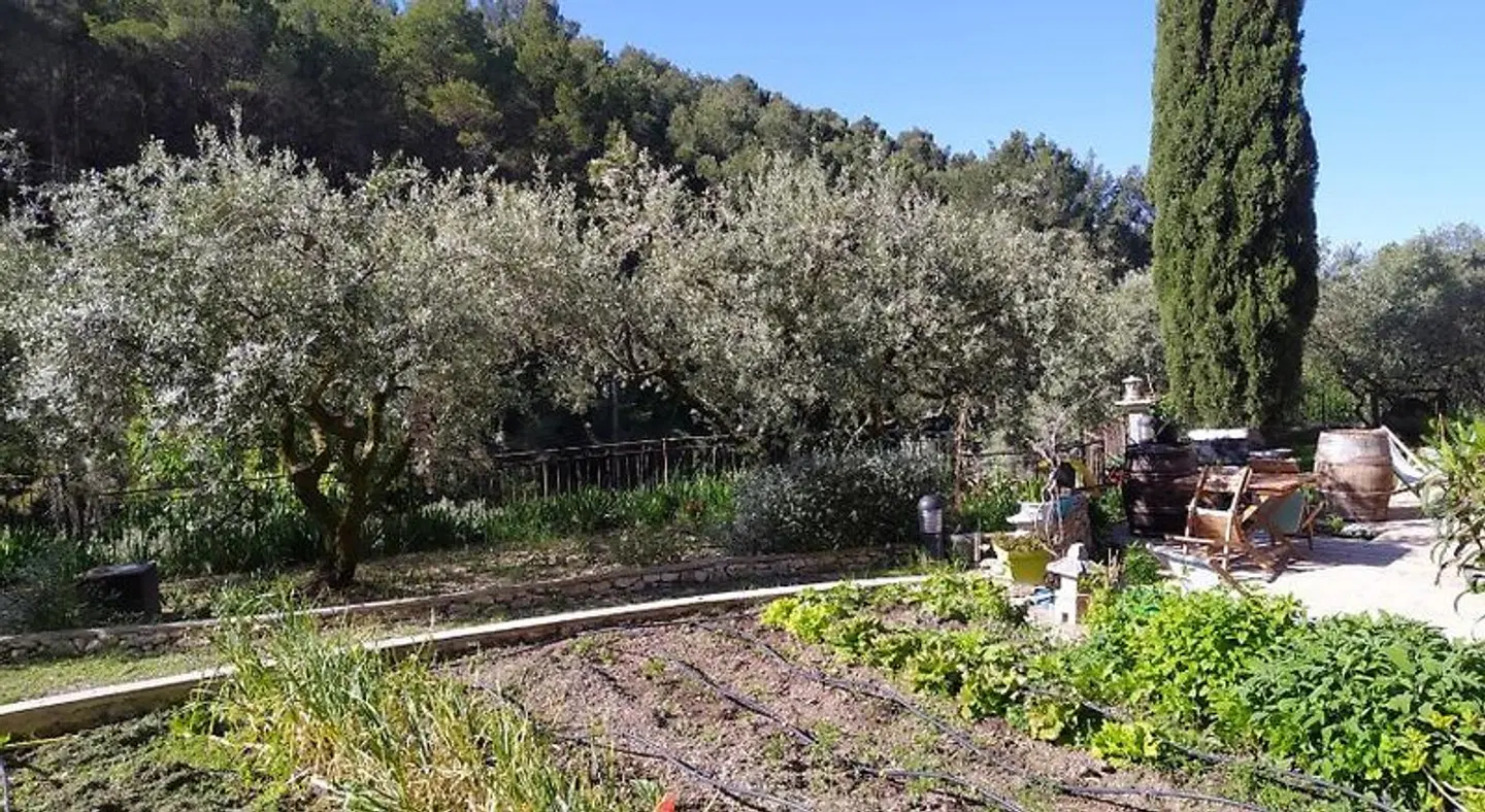 Le Frangipanier Garten
