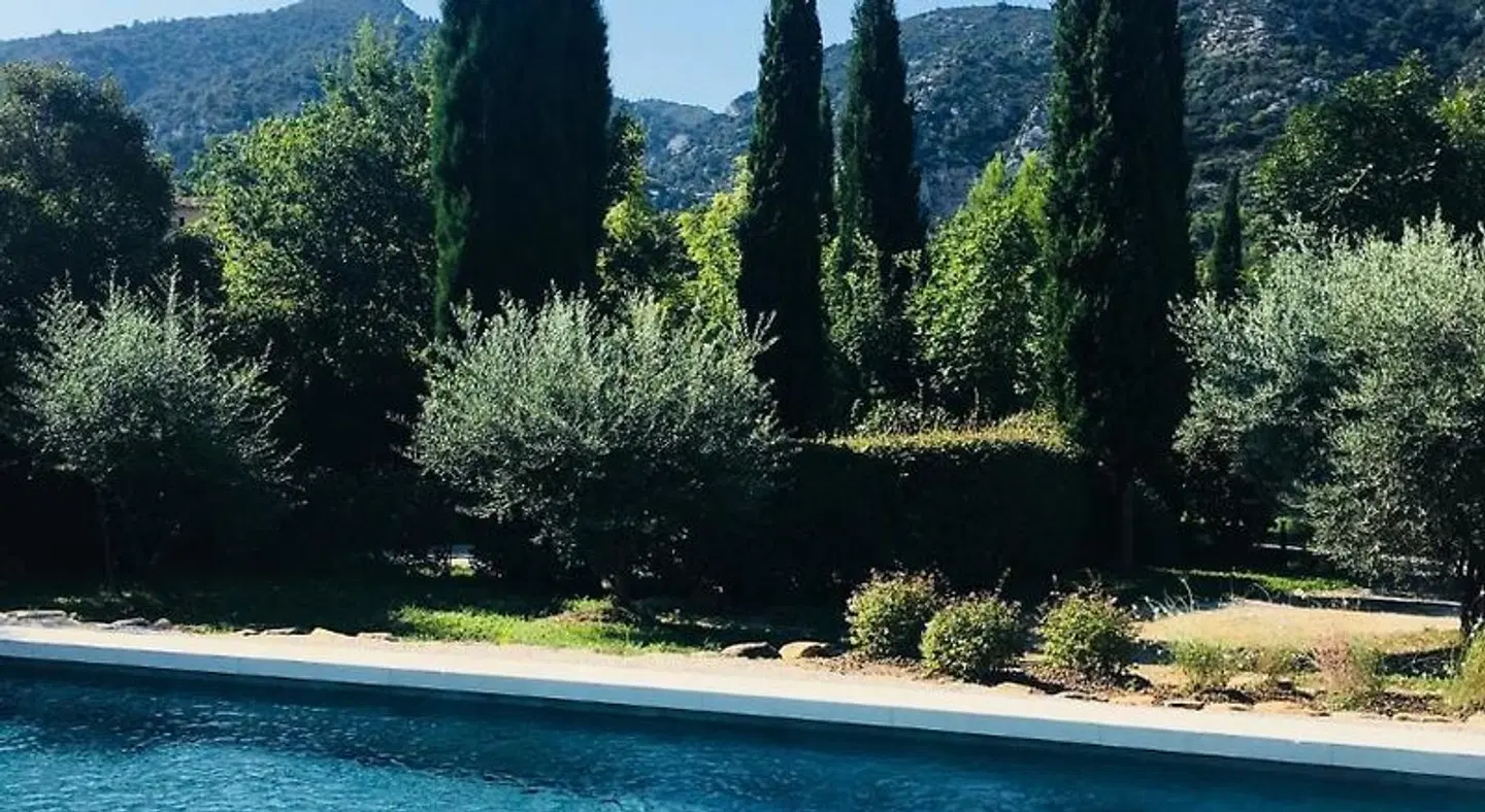 Le Champ des Oliviers LANDSCAPE