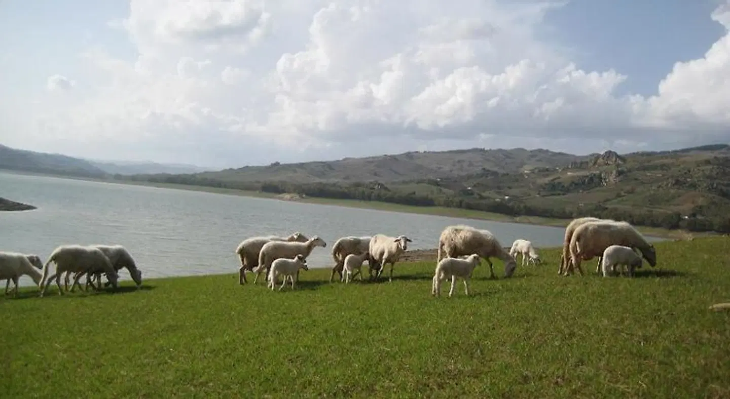 Oasi del Lago Tiere