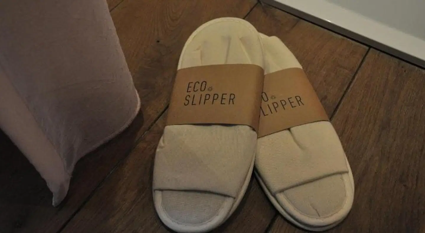 B&B Schopenhauer ROOM_EXAMPLE