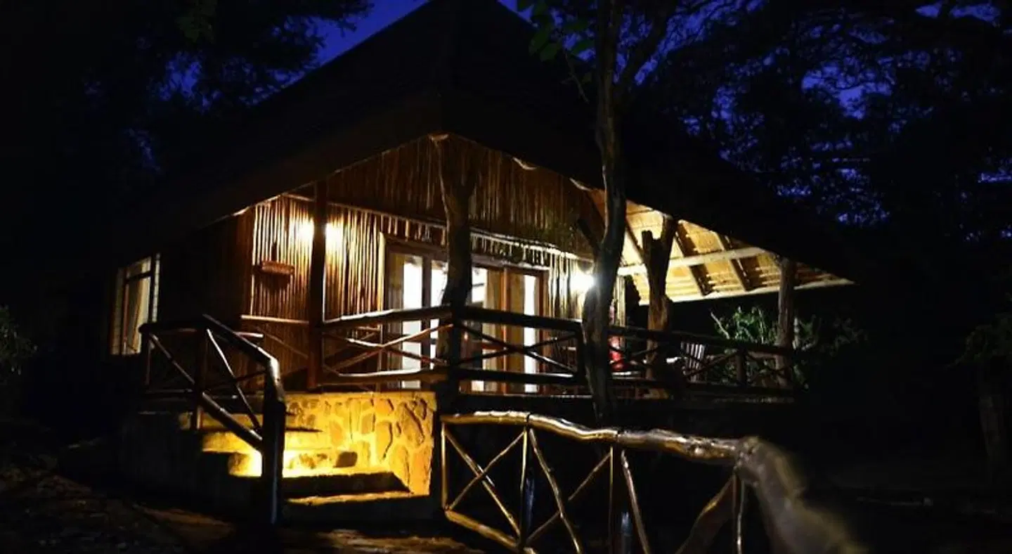 Moholoholo Forest Camp Terrasse