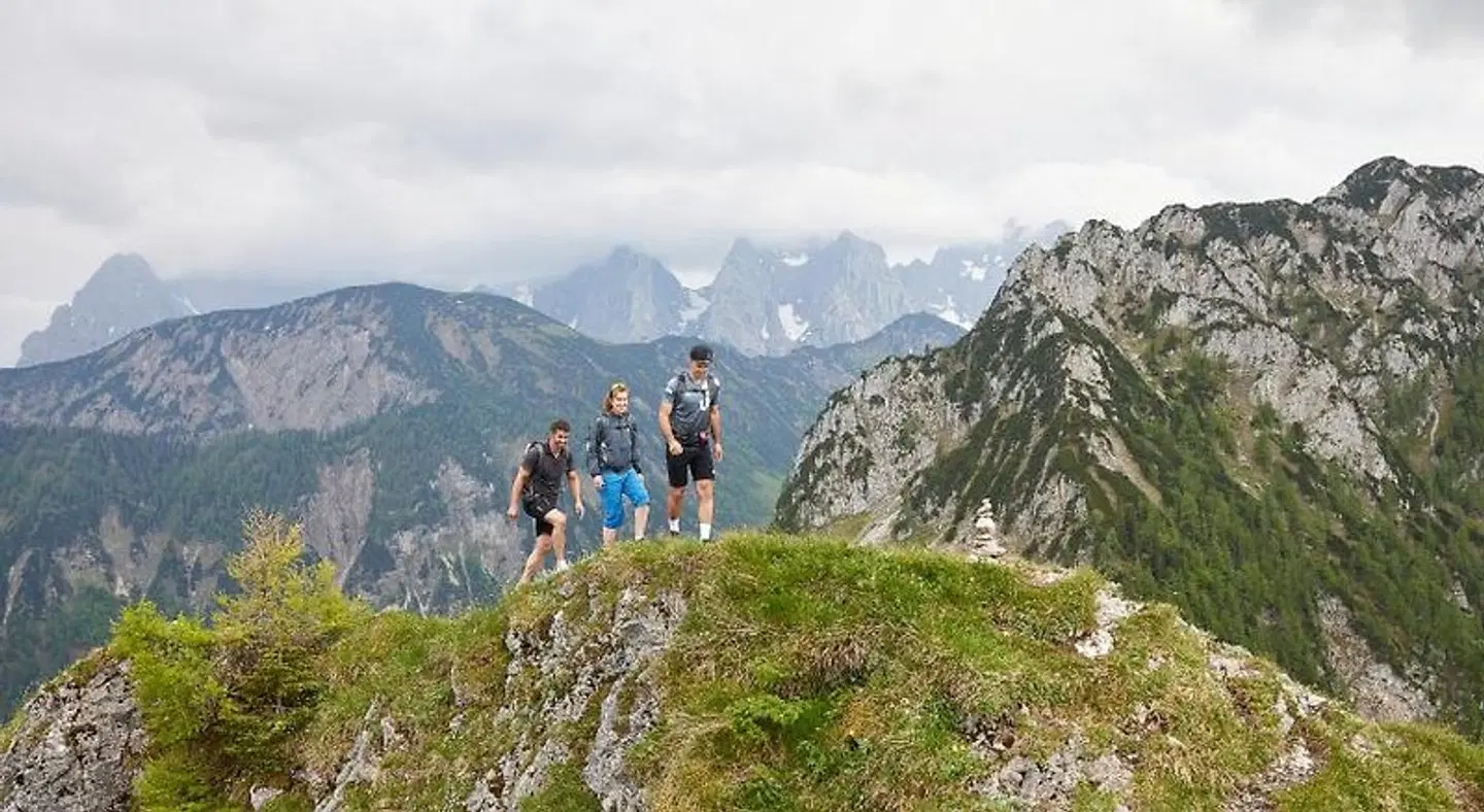 Hotel Das Walchsee LANDSCAPE