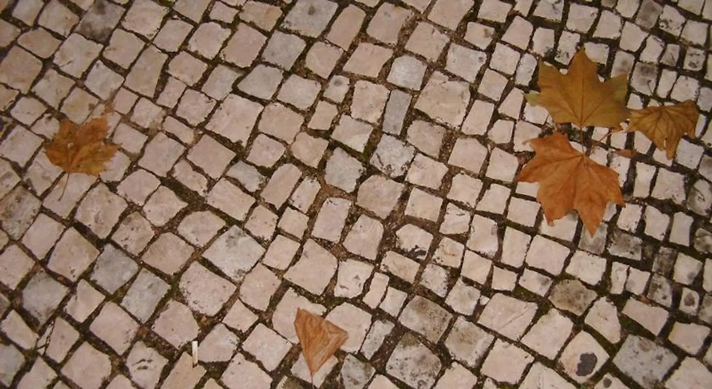 Casa Joao Chagas Tiere