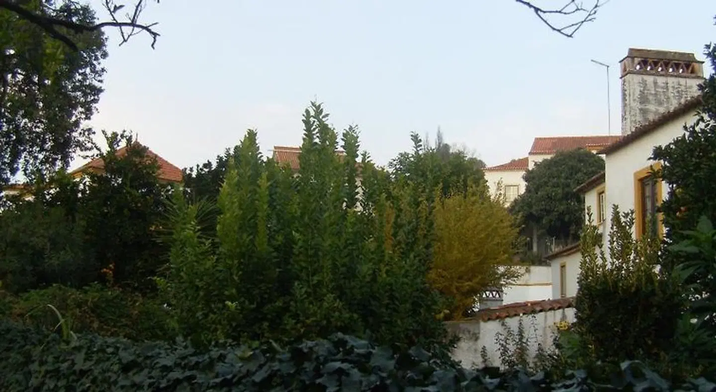 Casa Joao Chagas LANDSCAPE