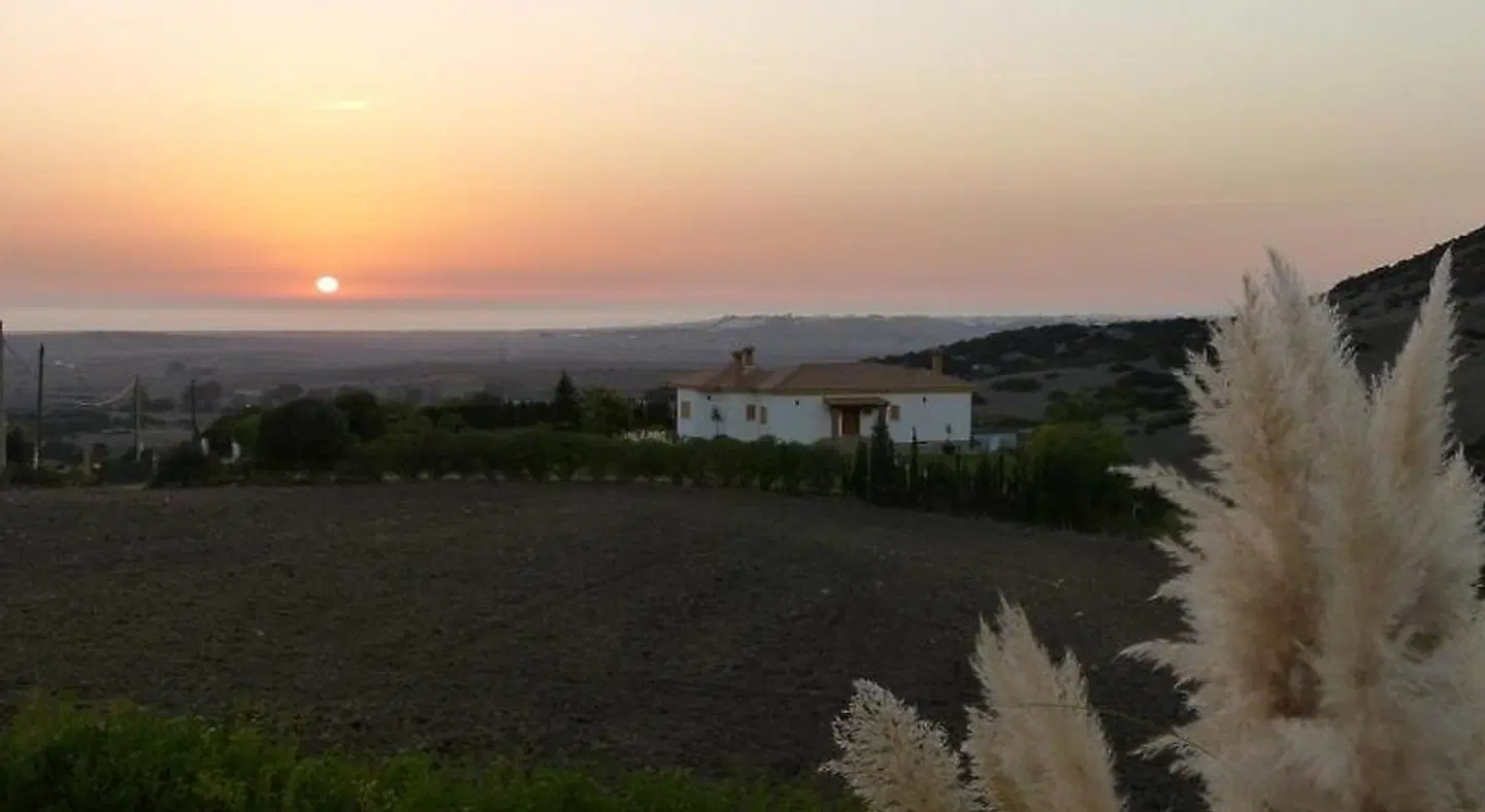 Sindhura LANDSCAPE