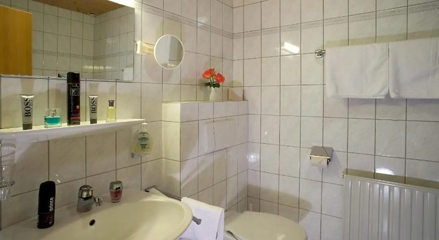 Alpenpanorama Badezimmer