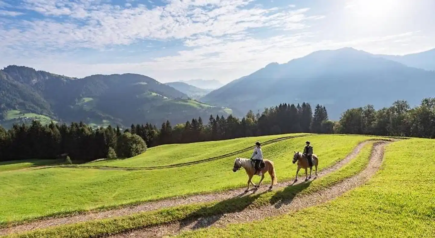 Haflingerhof Sport und Entertainment