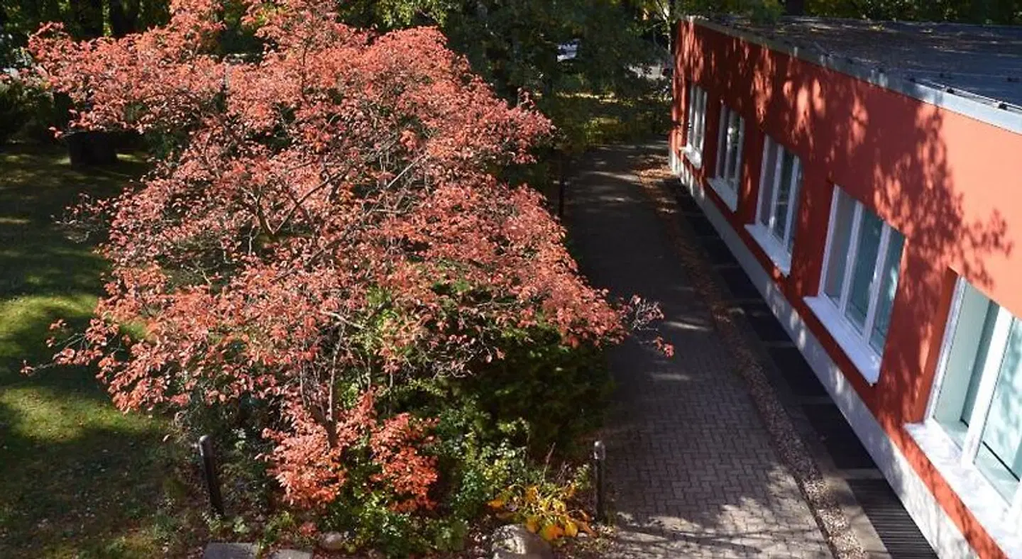 Gästehaus Pauline Garten