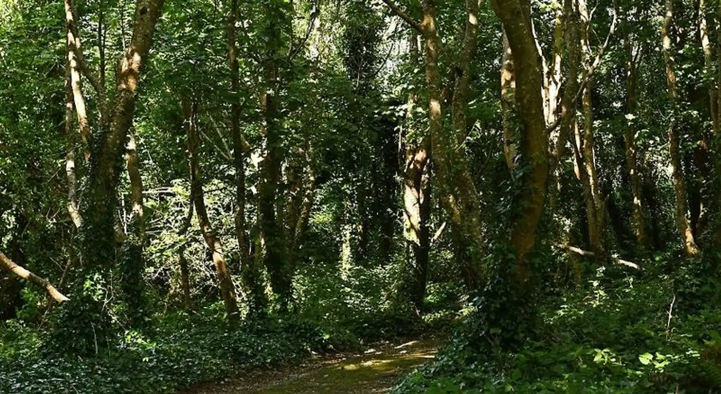 Renvyle House Landschaft