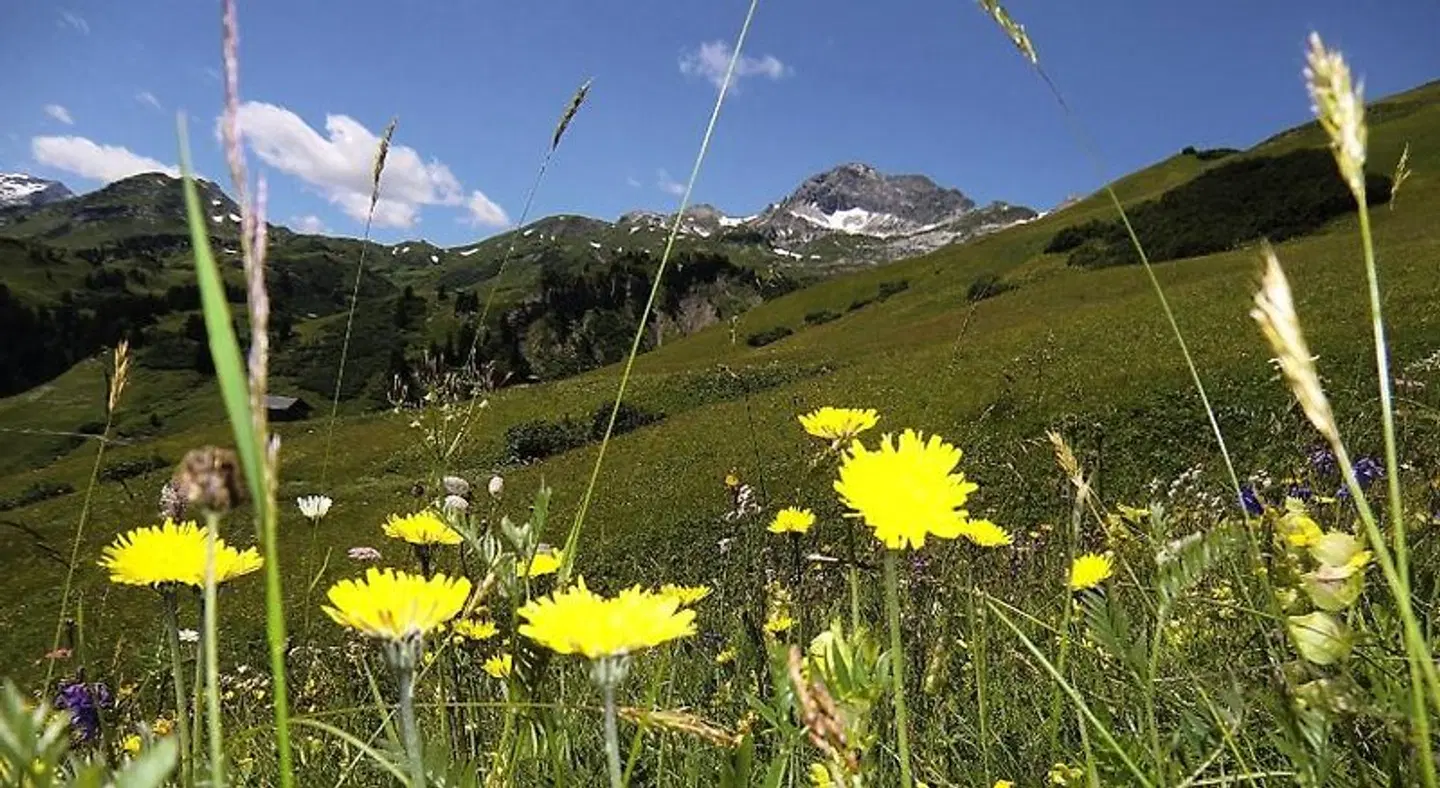 Warther Hof Wellnesshotel LANDSCAPE