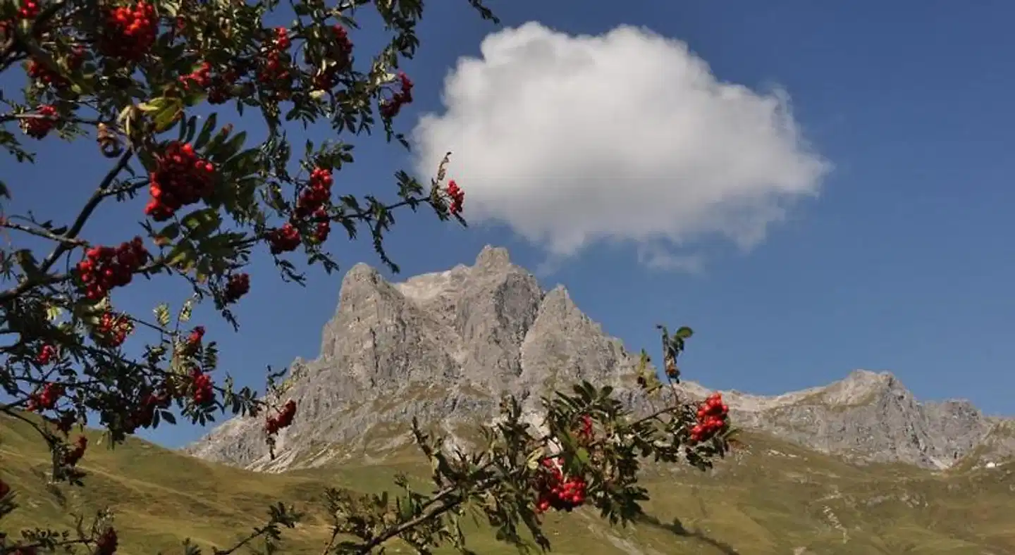 Warther Hof Wellnesshotel Landschaft