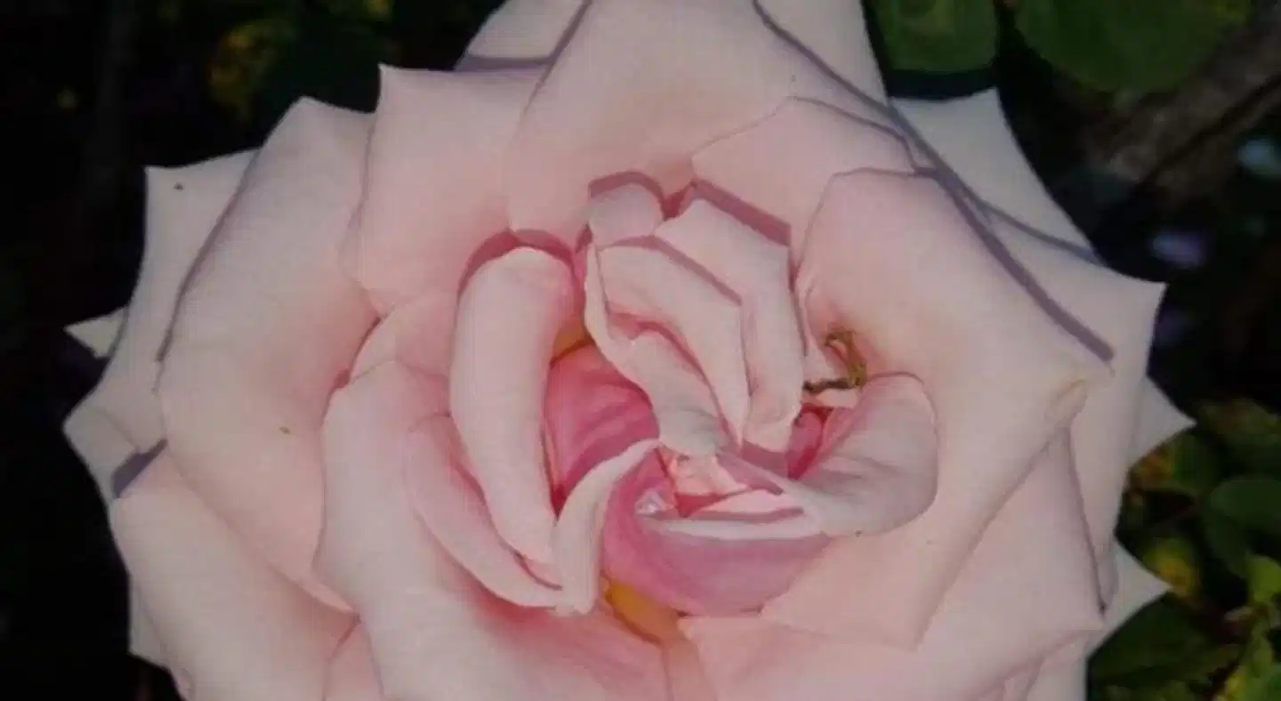 Kilmahon House Wellness