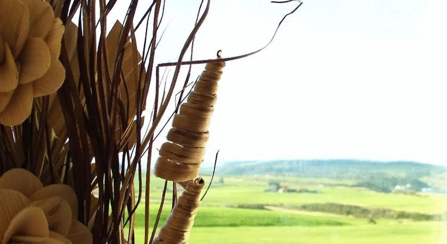 The White House Tiere