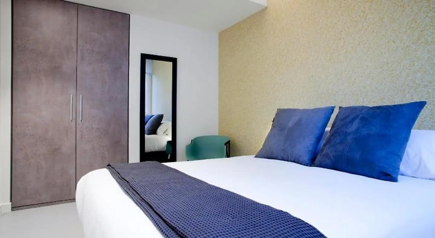 Bilbao Centric Apartments ROOM_EXAMPLE