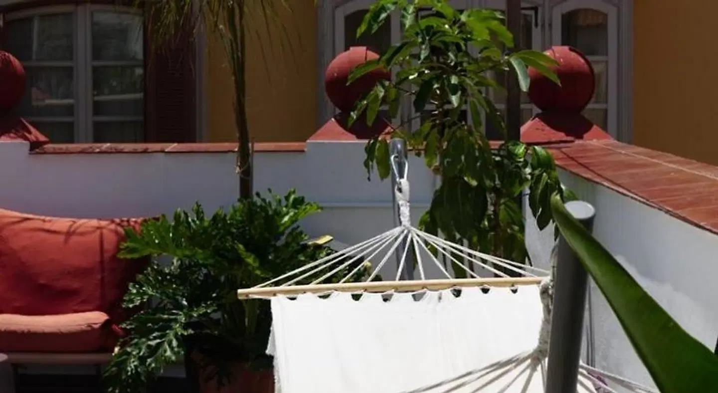 The Urban Jungle Hostel Terrasse